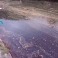 Завод за јавно здравље: Вода реке Власине припада четвртој категорији и не препоручује се купање!