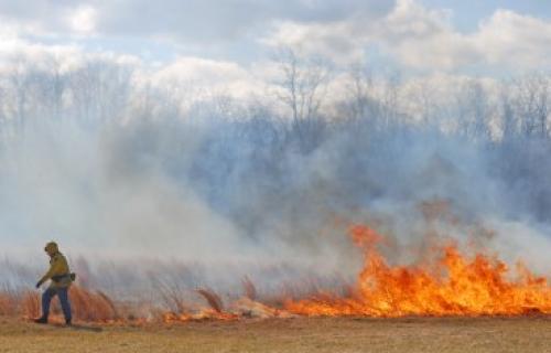 Угашено 9 пожара у Топличком округу