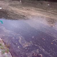 Завод за јавно здравље: Вода реке Власине припада четвртој категорији и не препоручује се купање!