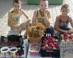 Dnevna doza lepog: Mali heroji prodaju voće i kupuju hranu za napuštene pse