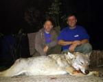 Surdulica: Ubili vuka, pa ga drali i komadali