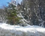 На Копаонику десет центиметара снега, РХМЗ упозорава на олујни ветар, мећаву и снежне наносе