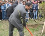 Јапански амбасадор и градоначелник Лесковца засадили јапанску трешњу