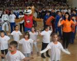 U Leskovcu održan prvi  „Mali sajam sporta“