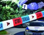 U selu kraj Leskovca, policija u vozilu Beograđanina pronašla skoro kilogram marihuane