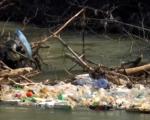Južna Morava opet je "tužna" – njome plutaju flaše, gume i drugi otpad