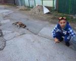 Dečak vezao psa za auto i vukao ga ulicama Žitkovca