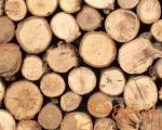 Koliko Srbija ima šuma - ima li dovoljno drva za grejanje i jesu li požari problem?