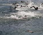 Богојављенско пливање у Нишу без присуства публике