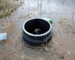 Ima li trajnog rešenja za problem podzemnih voda u Nišu