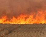 Iz Topličkog okruga apeluju na građane: Ne palite vatru na otvorenom, kazna i do milion dinara