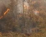 Ruski "iljušin" stiže u pomoć - bukte požari u Srbiji