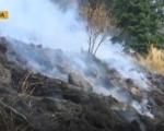 Ватра на Старој планини под контролом, локализовани пожари у Пчињском округу