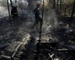 Izgorelo 100 hektara šume