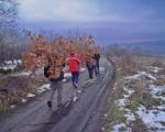 Srbi jutros sekli badnjake i na Kosovu