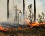 Dva velika požara na području opštine Prokuplje