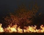Угашени пожари у околини Житорађе
