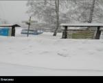 Crna Trava i Vlasina pod snegom, nanosi i do jednog metra
