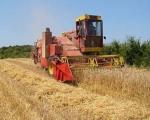 Toplica: Ovogodišnji prinosi pšenice od tri i po do četiri tone po hektaru