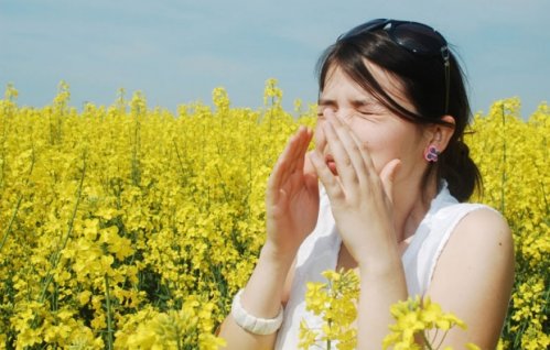 Будите опрезни: Почиње сезона поленских алергија