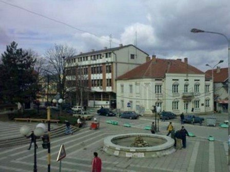 Фото: Општина Бојник