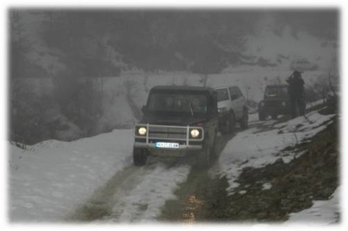 Bosilegrad : Više od stotinak domaćinstava zavejano bez struje