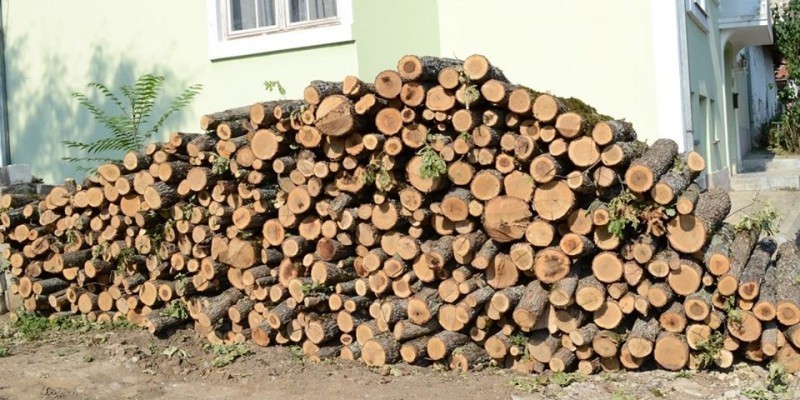 Podela ogrevnog drveta socijalno ugroženim porodicama u Prokuplju