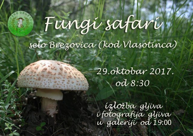 Јесењи "Fungi safari" у Власотинцу