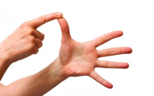 Одржана трибина - презентација Закона о знаковном језику