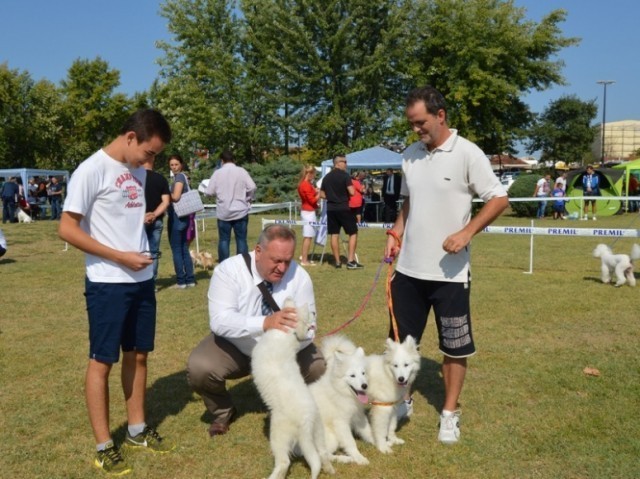 U Leskovcu održana Međunarodna izložba pasa "Cacib 2017"