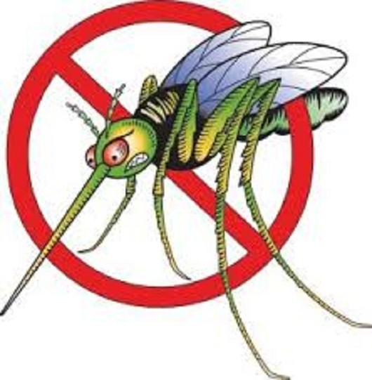 U toku je treće zaprašivanje protiv komaraca