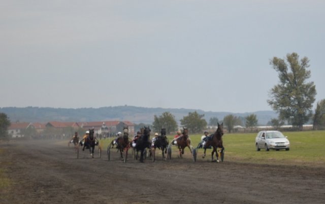 Одржане коњичке игре у част Дана града Лесковца