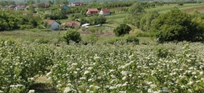 Кућа на селу: Информације у вези конкурса у Градској управи у Прокупљу