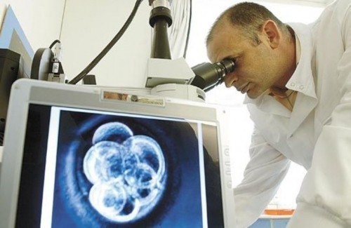 Генетичар Стојковић отишао из Лесковца, на Харварду предводи тим за истраживање матичних ћелија