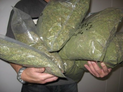 Лесковац:  Заплењено 7 килограма марихуане