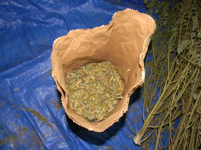Policija zaplenila pet kilograma marihuane