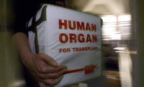 Donatori organa: Odluke koje spasavaju život