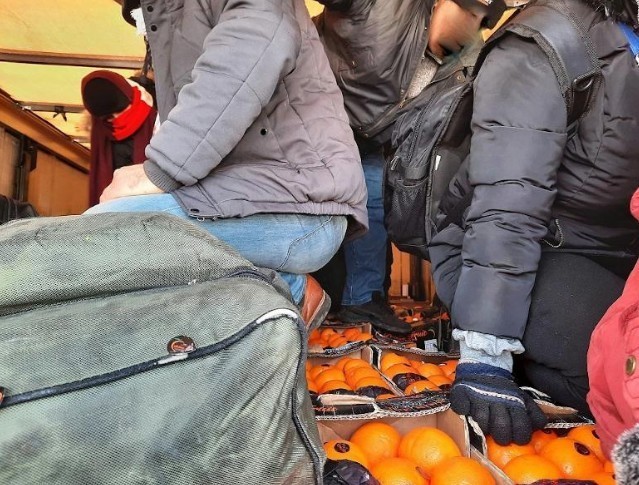 Међу мандаринама и поморанџама 12 "слепих путника“ из Сирије
