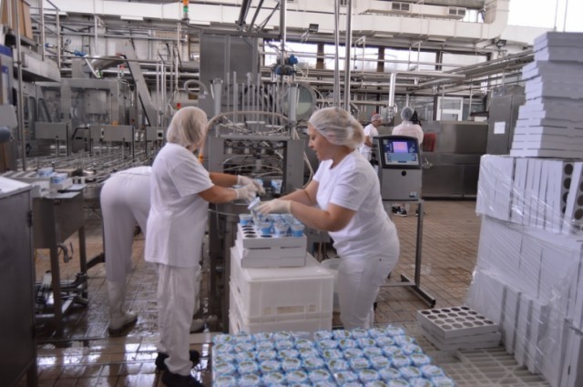 Млекара "Лесковац" планира да освоји европско тржиште
