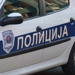 Похапшена тројица Албанаца због крађе шуме