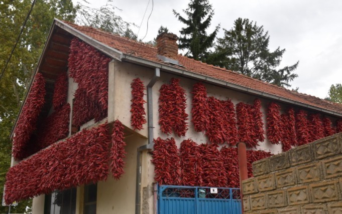 Celo selo crveno - Dani paprike u Donjoj Lokošnici kod Leskovca