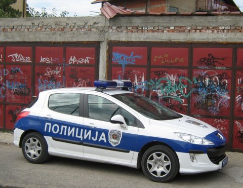 Полицијско возило