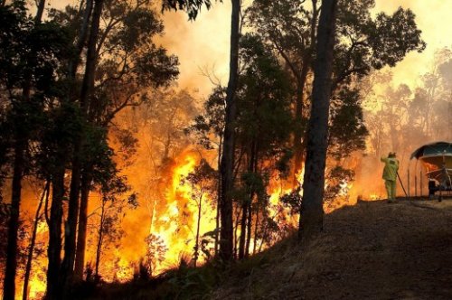 Упозорење на опасност од појаве шумских пожара