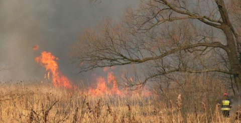Ugašen požar u okolini Leskovca