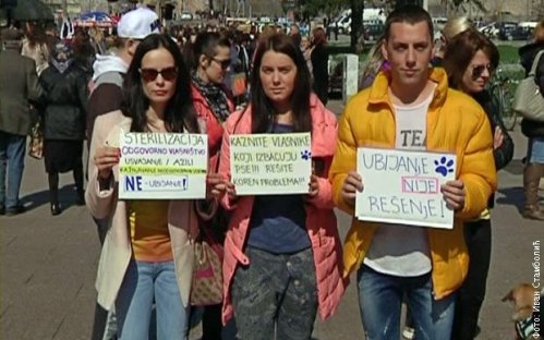 Протест љубитеља животиња у Нишу