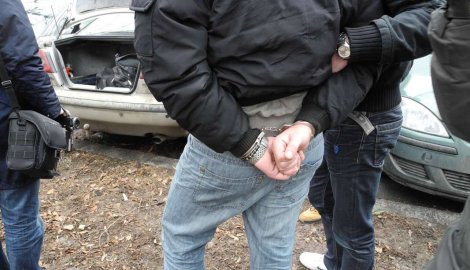 Uhapšeni lopovi iz Leskovca
