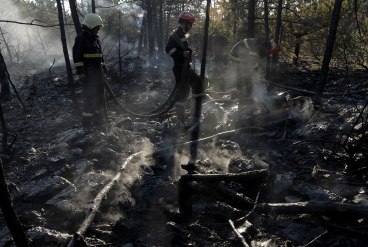 Izgorelo 100 hektara šume