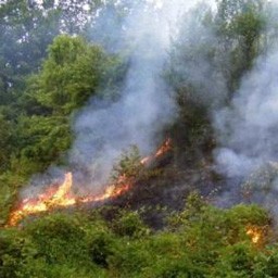 Lokalizovani požari kod Kuršumlije