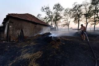 Prokuplje: Izgorelo 100 hektara šume
