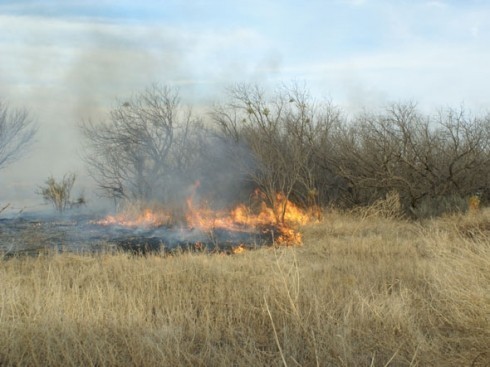 Lokalizovan požar u kuršumlijskom naselju Pantiće